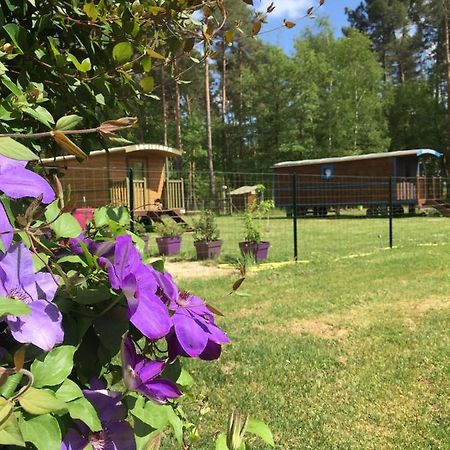 Roulottes Du Chalet Des Pins Rougeou 外观 照片