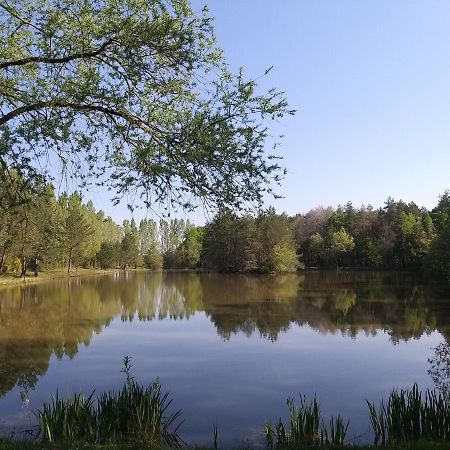 Roulottes Du Chalet Des Pins Rougeou 外观 照片