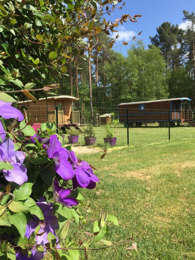 Roulottes Du Chalet Des Pins Rougeou 外观 照片