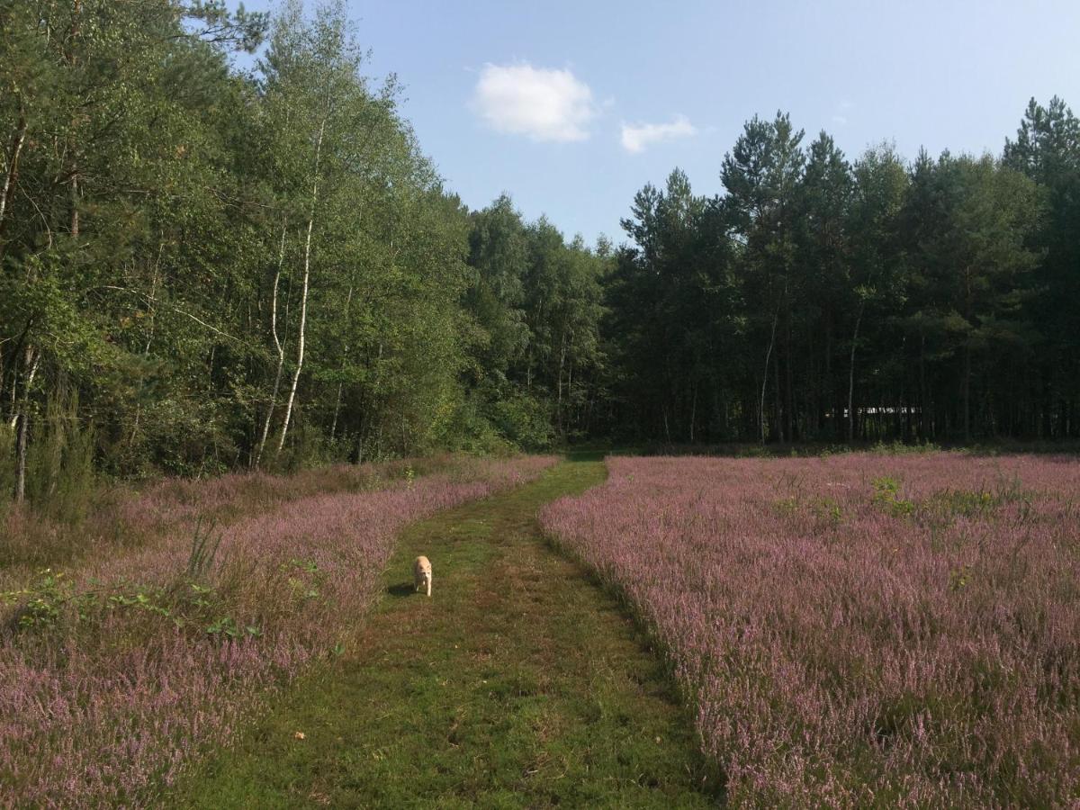 Roulottes Du Chalet Des Pins Rougeou 外观 照片