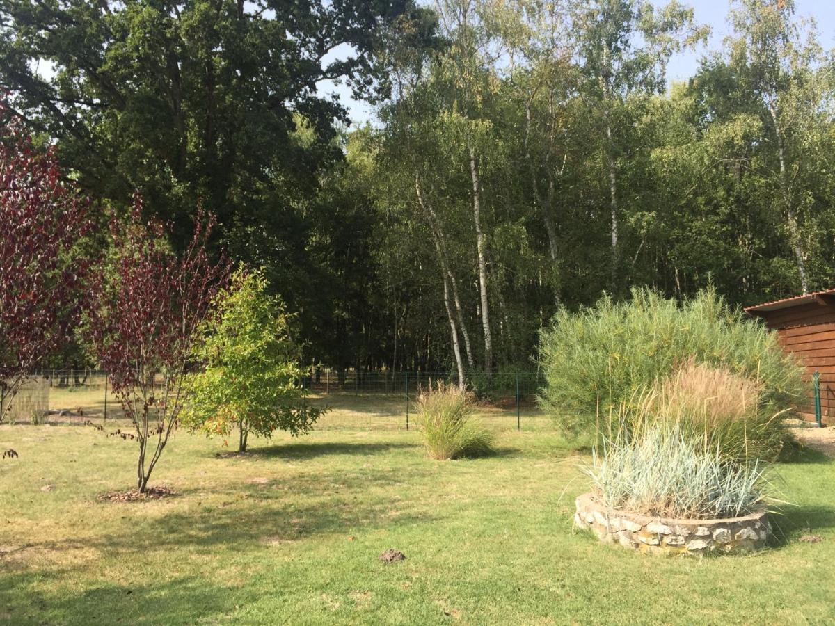 Roulottes Du Chalet Des Pins Rougeou 外观 照片