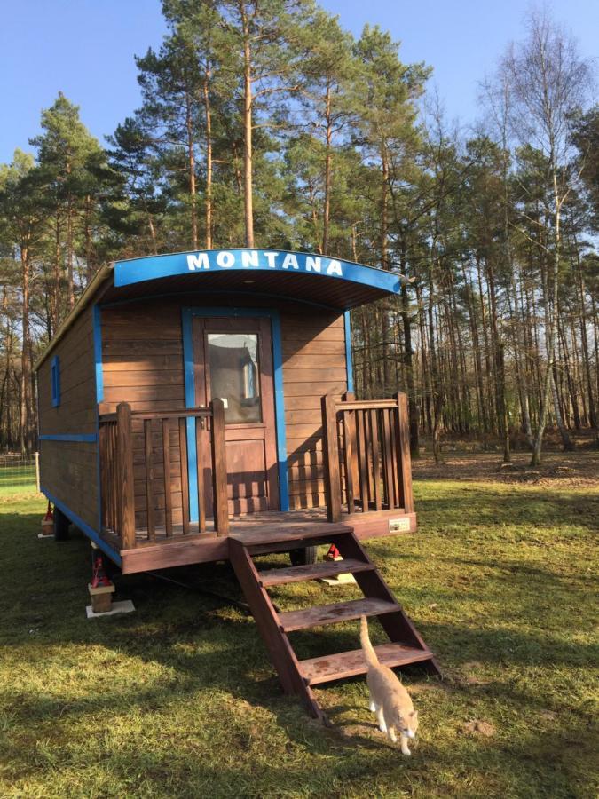 Roulottes Du Chalet Des Pins Rougeou 外观 照片