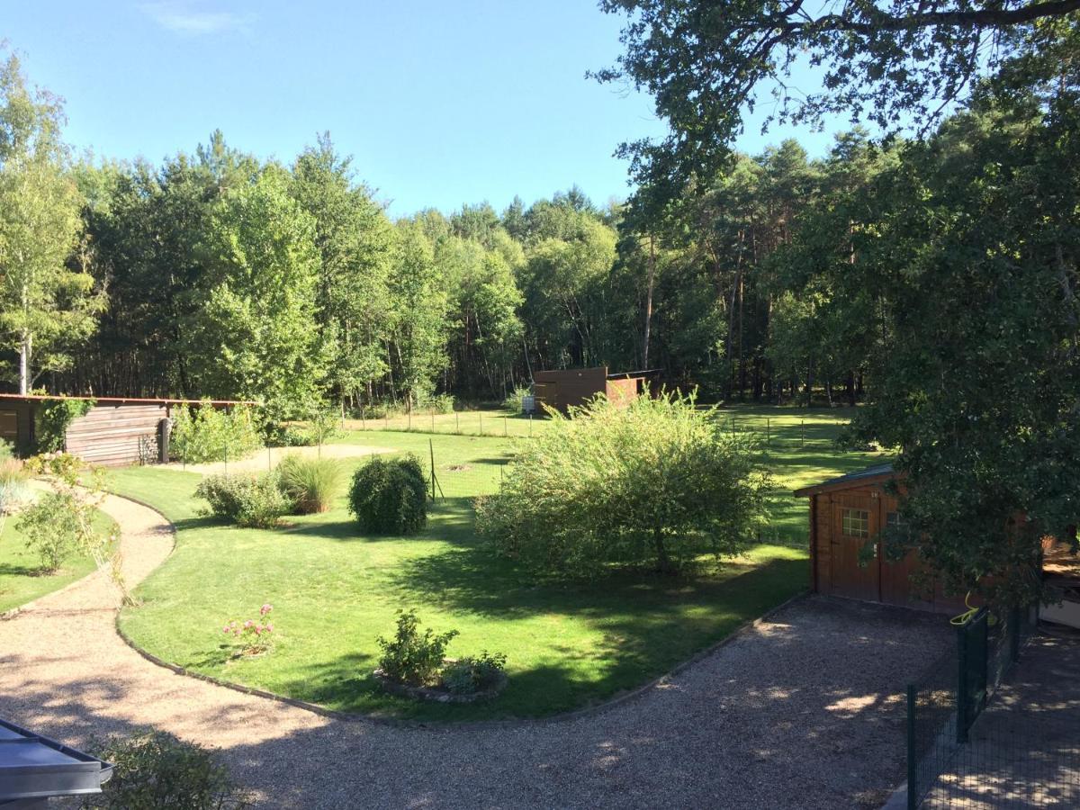 Roulottes Du Chalet Des Pins Rougeou 外观 照片