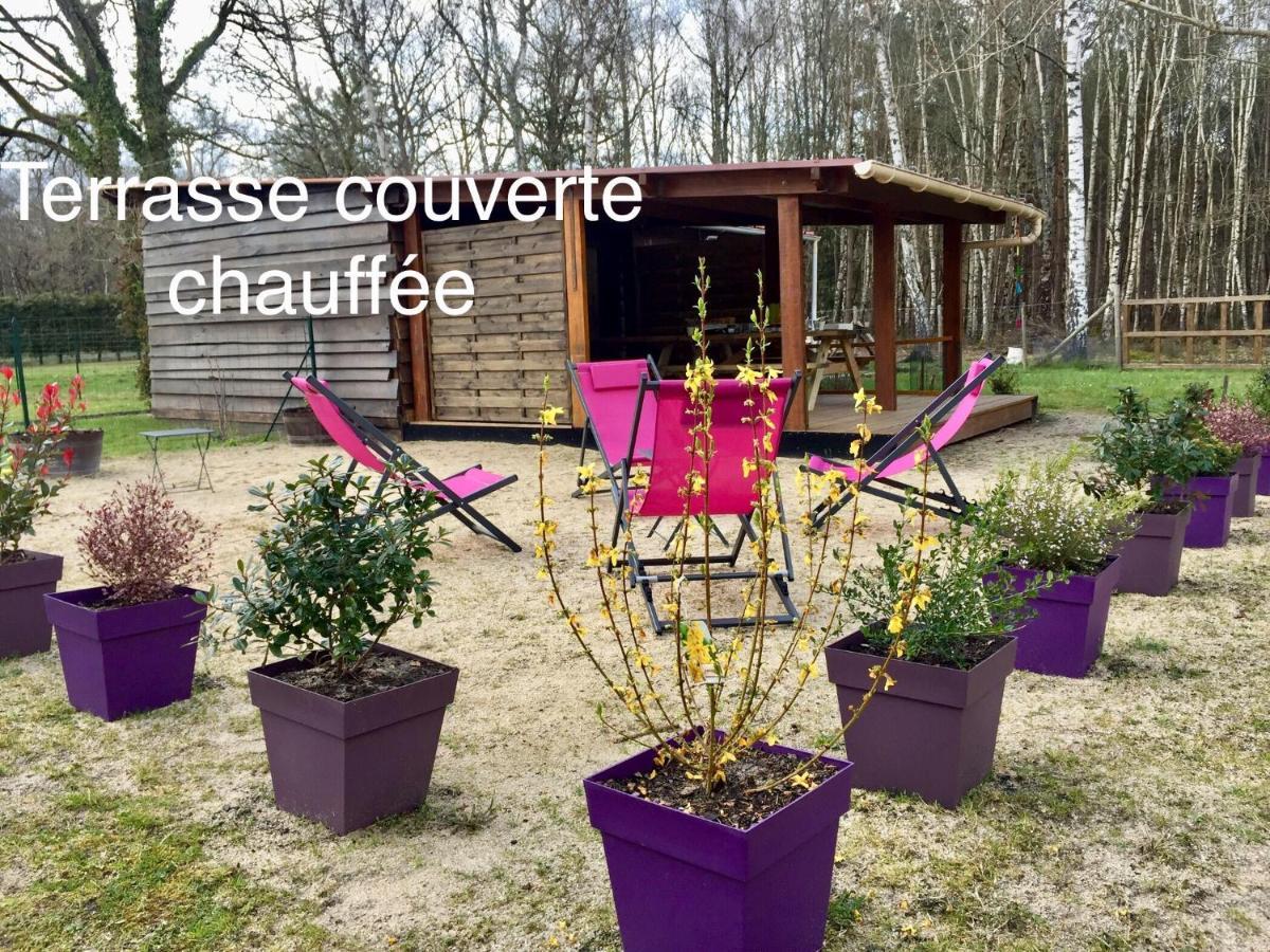 Roulottes Du Chalet Des Pins Rougeou 外观 照片