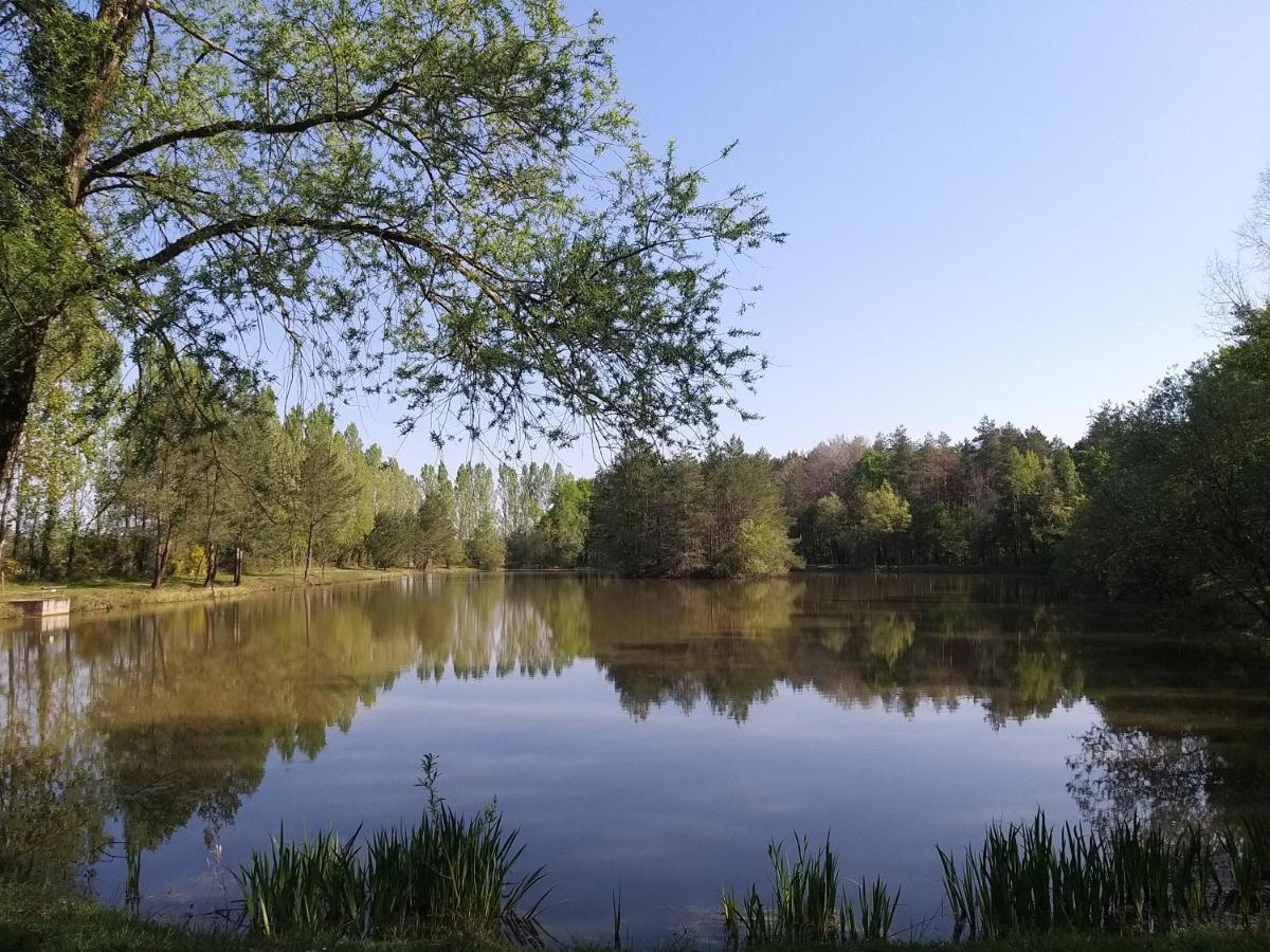 Roulottes Du Chalet Des Pins Rougeou 外观 照片